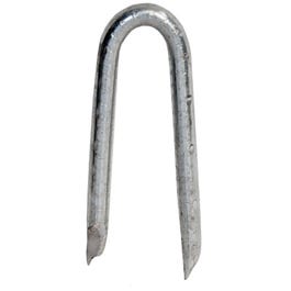 Hot Dipped Galvanized Fence Staple, 1.25-In., 50-Lbs.