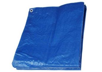 TruGuard Master Tradesman Blue Polyethylene Storage Tarp Cover