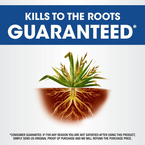 Roundup® Weed & Grass Killer₄ with Sure Shot Wand®
