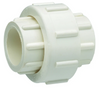 Homewerks Worldwide 2 SS SCH40 PVC Union