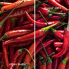 GE Reveal HD+ LED 100 Watt Replacement, Reveal, A19 General Purpose Bulbs (2 Pack)