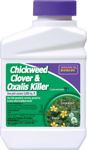 Bonide Chickweed, Clover & Oxalis Killer (1 pt)