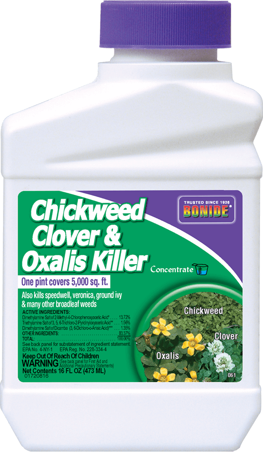 Bonide Chickweed, Clover & Oxalis Killer (1 pt)