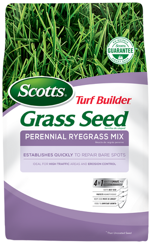 Scotts® Turf Builder® Grass Seed Perennial Ryegrass Mix