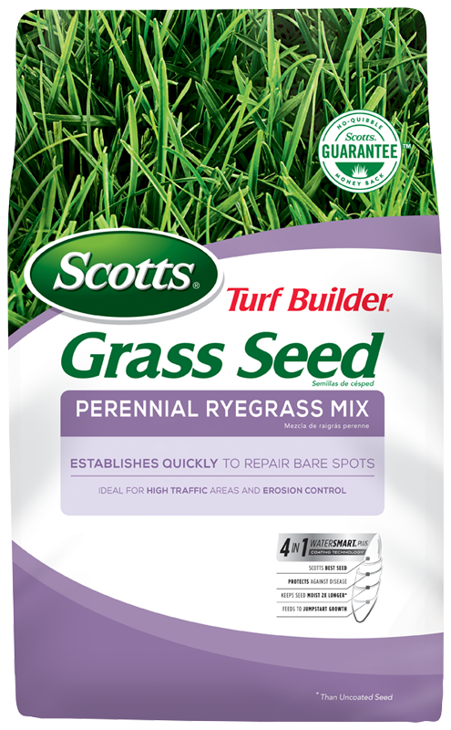 Scotts® Turf Builder® Grass Seed Perennial Ryegrass Mix