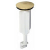 Bathroom Pop-Up Drain Stopper, Polished Brass, 3-23/32 x 1-1/4-In.