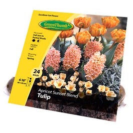 Assorted Spring Flower Bulbs, 24-Pk.