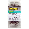 25-Pack Short Stainless-Steel Rivets