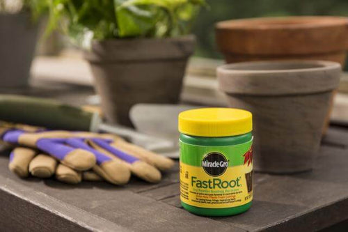 Miracle-Gro® FastRoot₁® Dry Powder Rooting Hormone (1.25 oz)