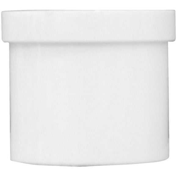 Charlotte Pipe Schedule 40 2 in. Spigot PVC Spigot Plug