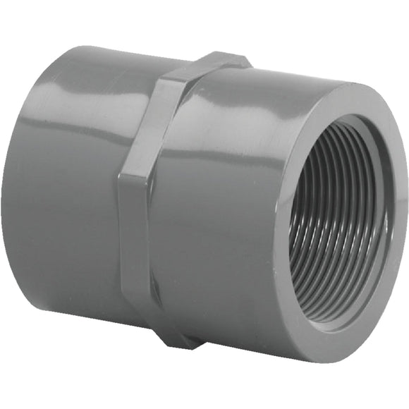 Charlotte Pipe 1-1/4 In. FIP x FIP PVC Coupling