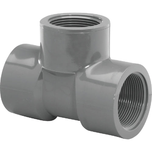 Charlotte Pipe 3/4 In. FIP Schedule 80 PVC Tee