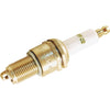 Arnold FirstFire 13/16 In. Spark Plug