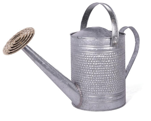 Robert Allen Jameson Watering Can (1-Gallon)